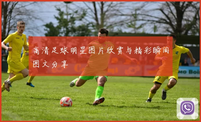 高清足球明星图片欣赏与精彩瞬间图文分享