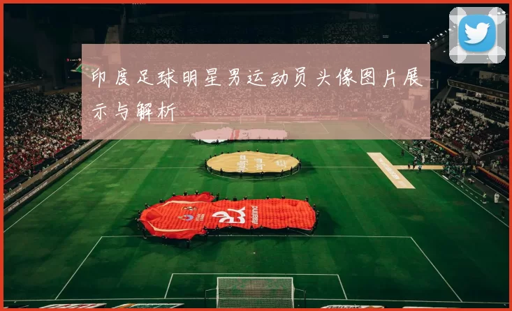 印度足球明星男运动员头像图片展示与解析