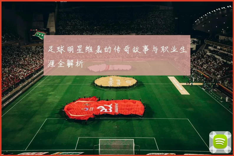 足球明星维嘉的传奇故事与职业生涯全解析