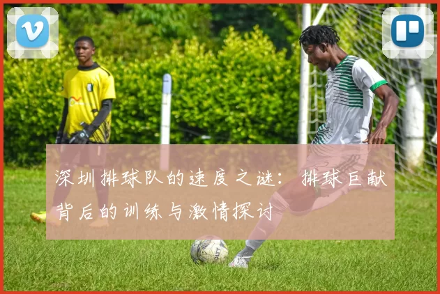 深圳排球队的速度之谜：排球巨献背后的训练与激情探讨