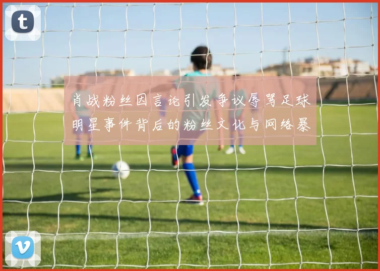 肖战粉丝因言论引发争议辱骂足球明星事件背后的粉丝文化与网络暴力探讨