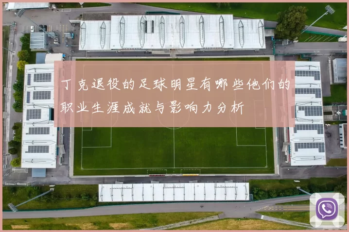 丁克退役的足球明星有哪些他们的职业生涯成就与影响力分析