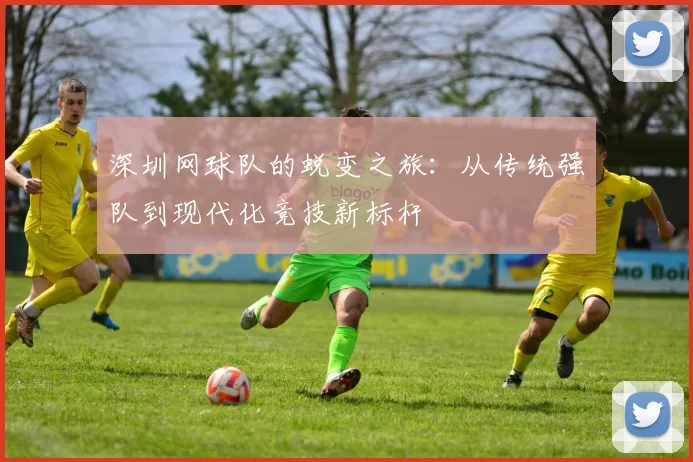 深圳网球队的蜕变之旅：从传统强队到现代化竞技新标杆